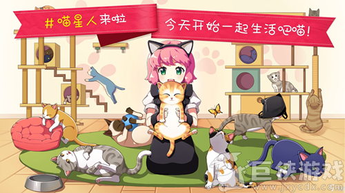 猫猫咖啡屋游戏怎么喂猫粮