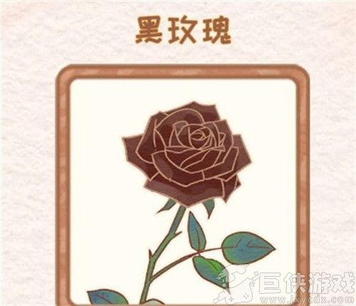 花店物语黑玫瑰怎么获得 花店物语黑玫瑰获得方法