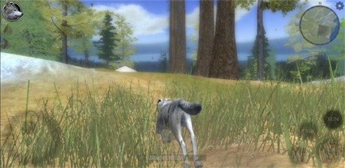 野狼模拟器2中文版下载