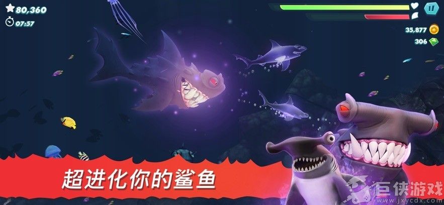 饥饿鲨进化国际服老版本
