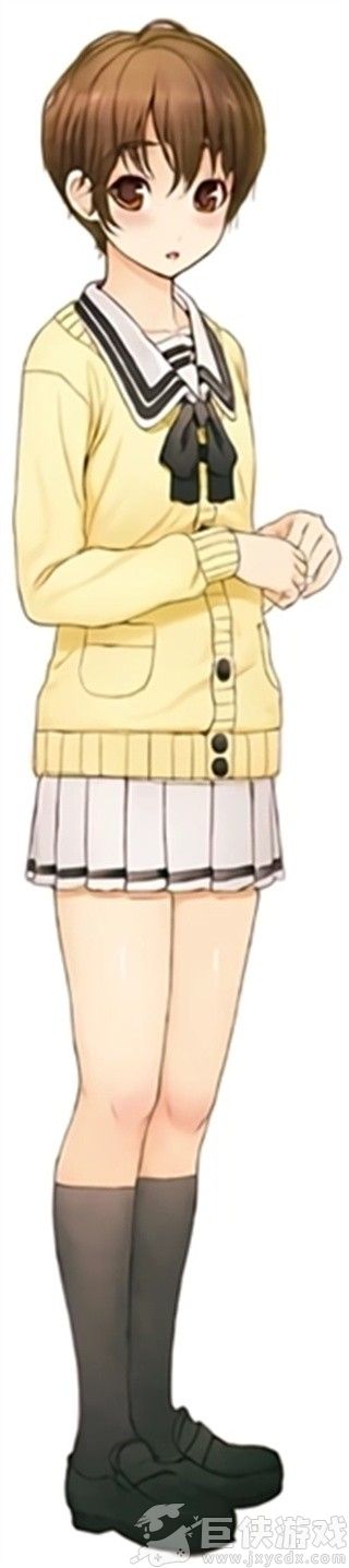 你和她和她的恋爱安卓版