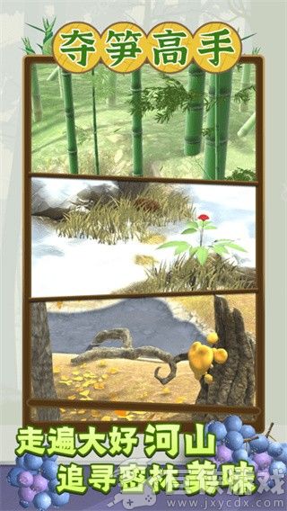 夺笋高手免广告最新版
