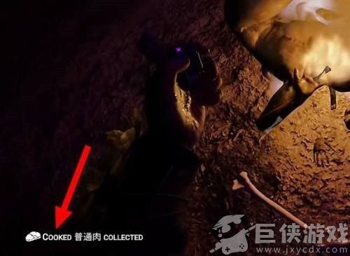 森林之子下载