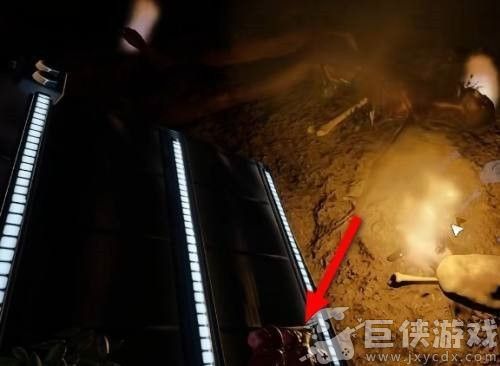 森林之子下载