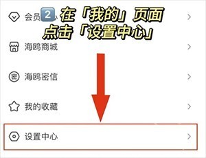 海鸥聊天正版