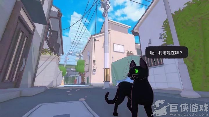 小猫咪大城市安卓版下载