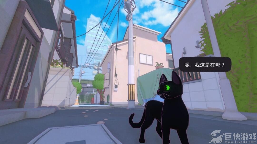 小猫咪大城市免费版下载