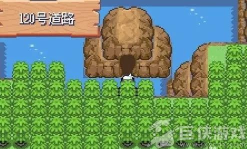 口袋妖怪漆黑的魅影5.0最新版