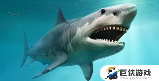巨大的鲨鱼不是巨齿鲨吗 巨大的鲨鱼怎么是巨齿鲨的一种