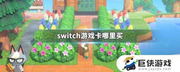 switch游戏卡在哪里买