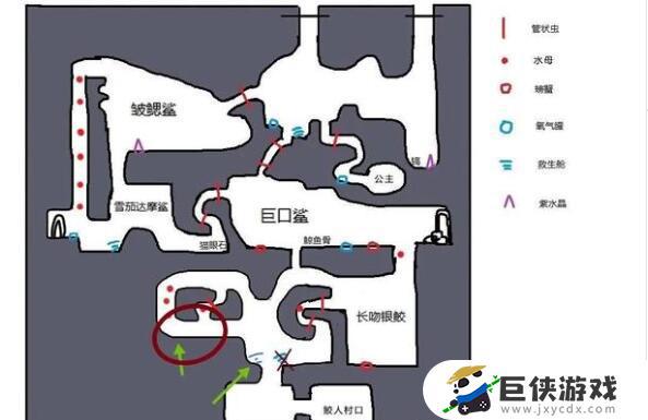 深海地图探索技巧及攻略解析《潜水员戴夫》