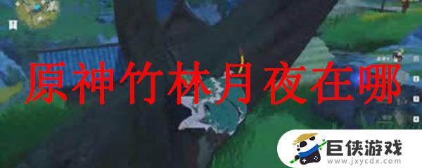 原神竹林月夜分别在哪里