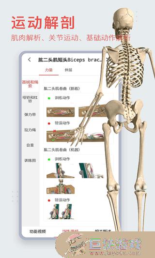 3dbody解剖破解免费版