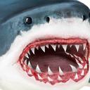 鲨鱼模拟器免费版