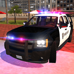 真实警车驾驶模拟器手游版