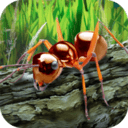 蚂蚁生存模拟器2020破解版