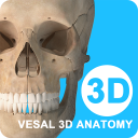 维萨里3d解剖vip破解版