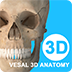 维萨里3d解剖软件