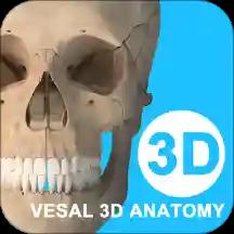 维萨里3d解剖学破解版