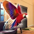 宠物鹦鹉模拟器手机游戏