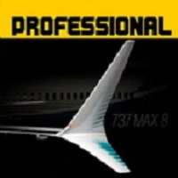波音737模拟飞行游戏