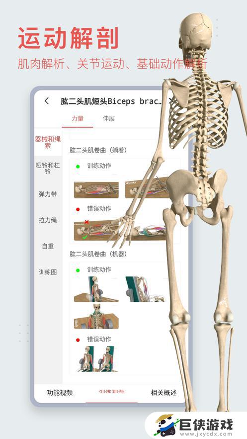 3dbody解剖免费版本